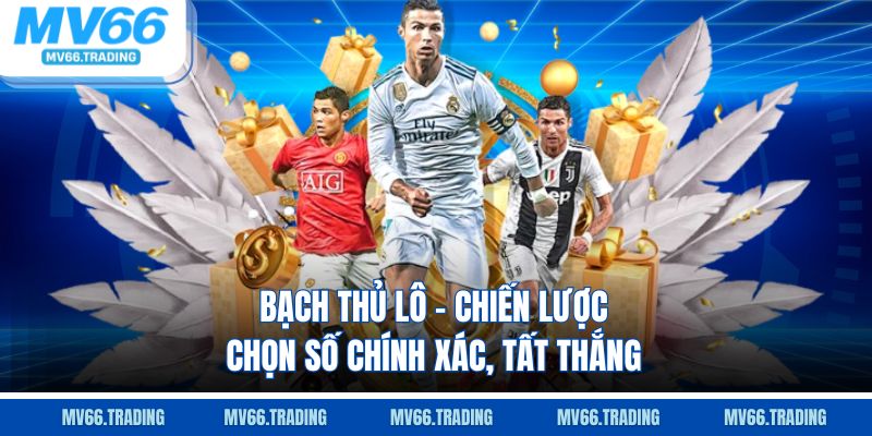Bạch thủ lô chiến lược chọn số chính xác tất thắng