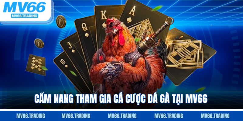 Cẩm nang tham gia cá cược đá gà tại MV66