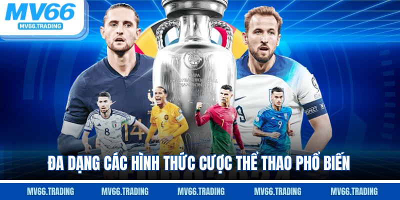 Đa dạng các hình thức cược thể thao phổ biến