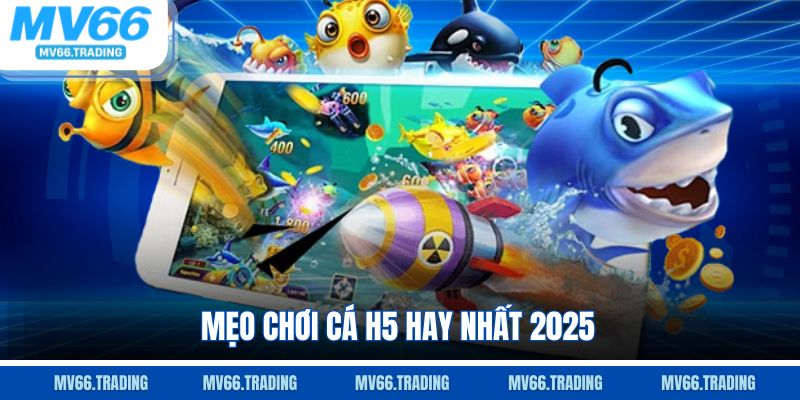 Mẹo chơi cá h5 hay nhất 2025