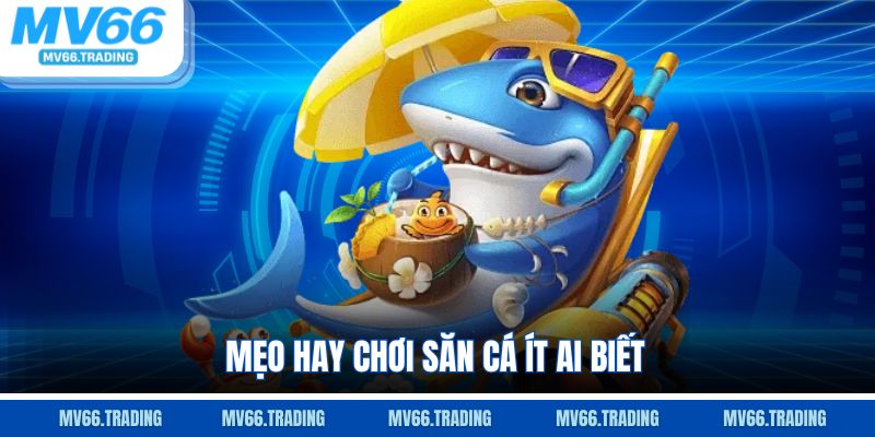 Mẹo hay chơi săn cá ít ai biết