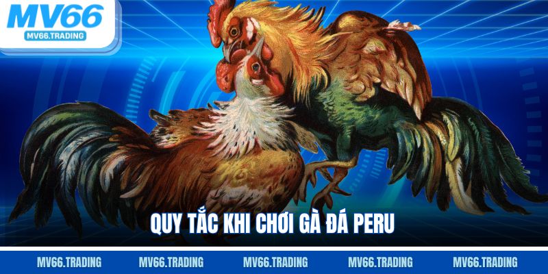 Quy tắc khi chơi gà đá Peru
